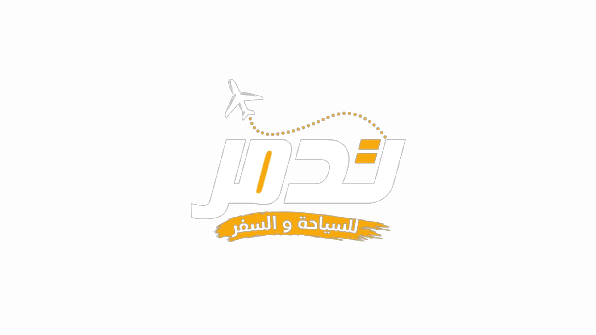 تدمر للسياحة والسفر
